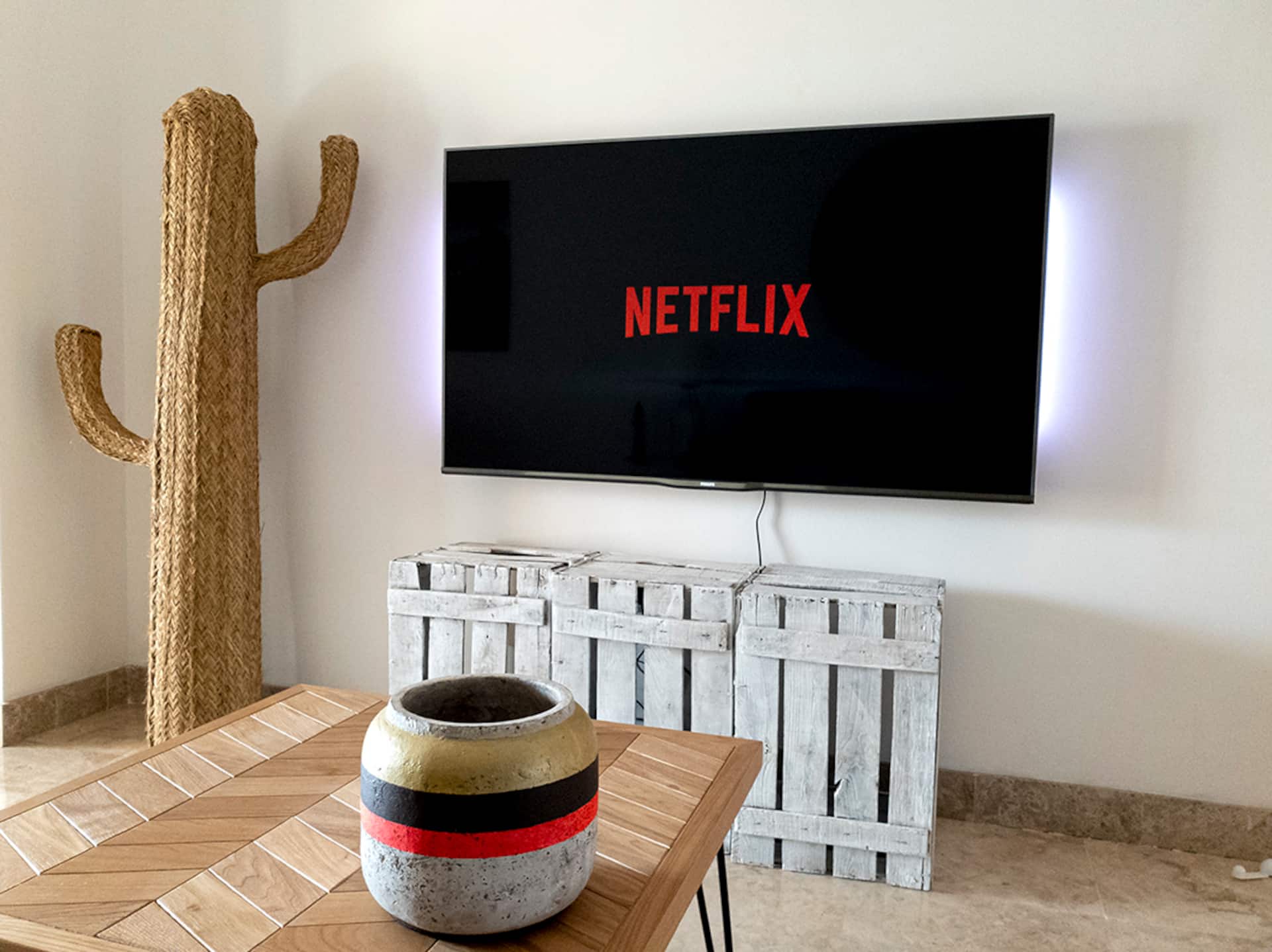 Televisión con Netflix en el salón, junto a una decoración de cactus de fibra natural.