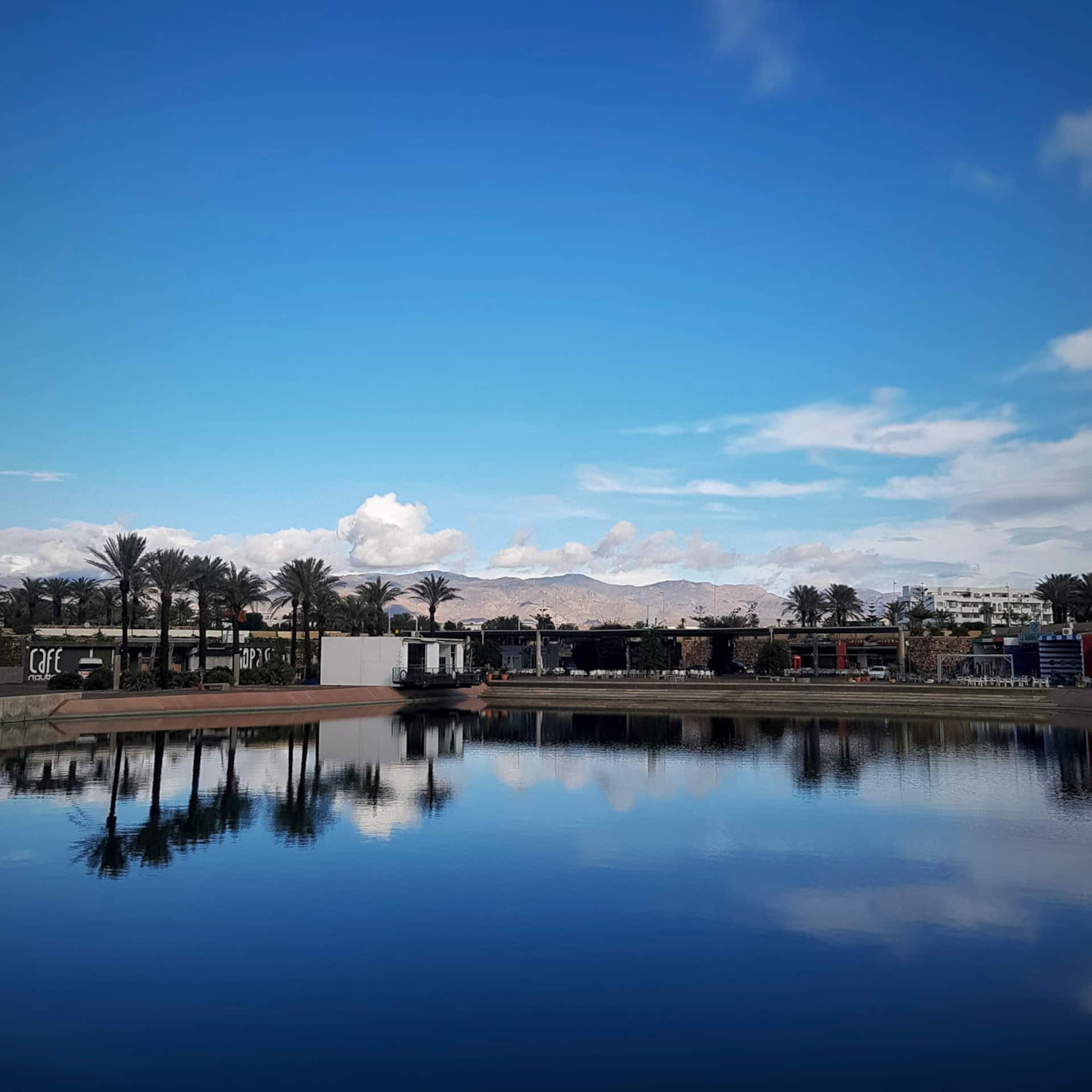 Laguna urbana con reflejos de palmeras y montaña al fondo, en Almería capital.