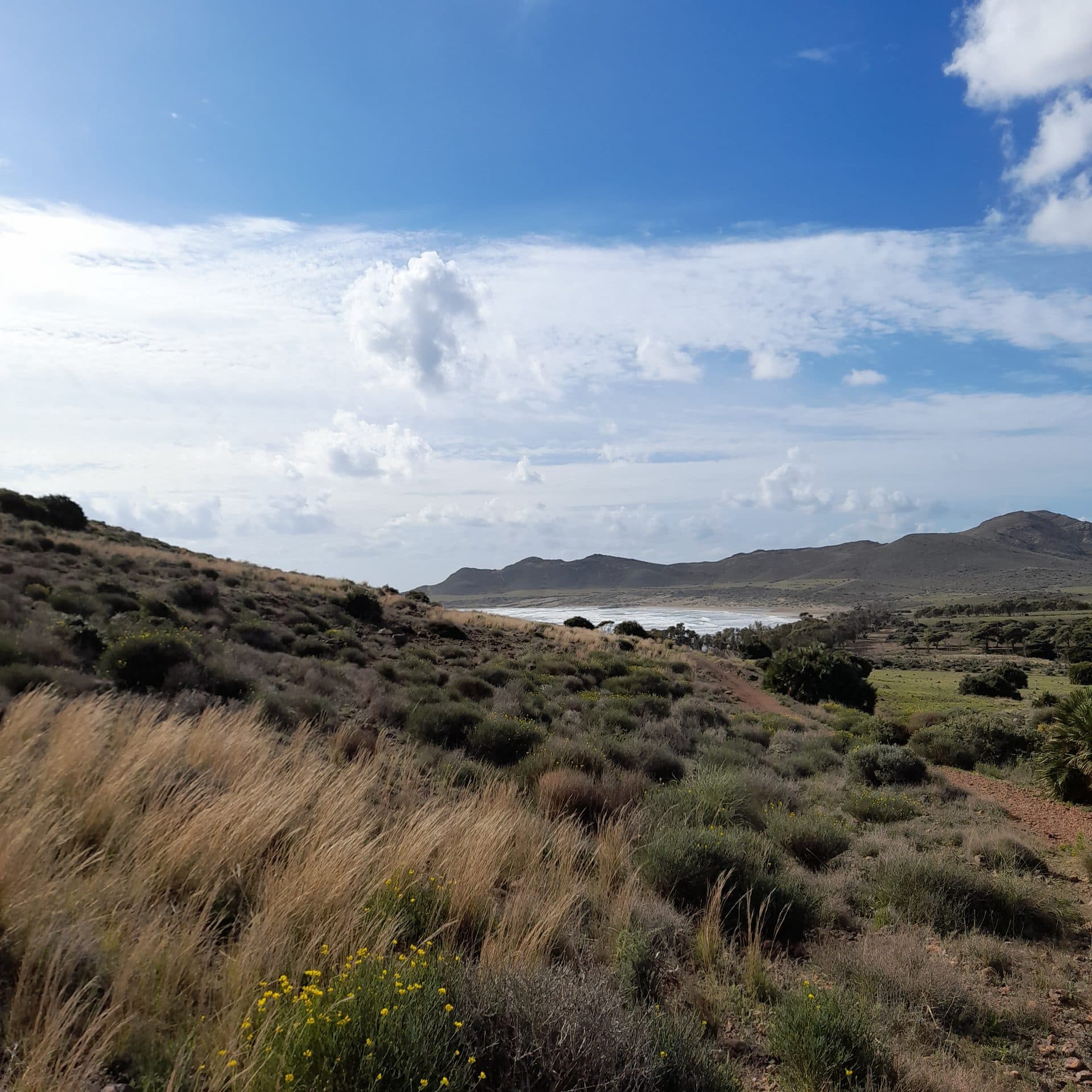 Playa de los Genoveses, en el Parque Natural Cabo de Gata-Níjar, con dunas y aguas turquesas.